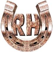 Rusted Horseshoe image 1